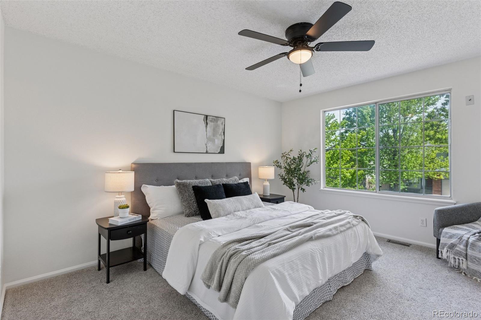 MLS Image #14 for 17611  hoyt place,parker, Colorado
