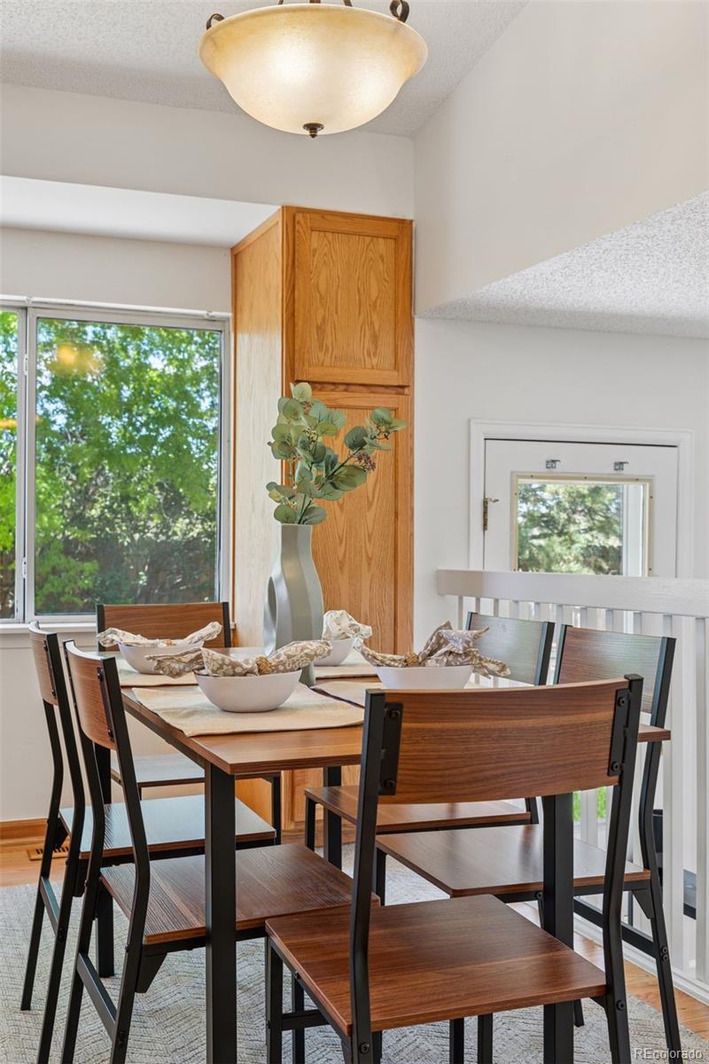 MLS Image #9 for 17611  hoyt place,parker, Colorado