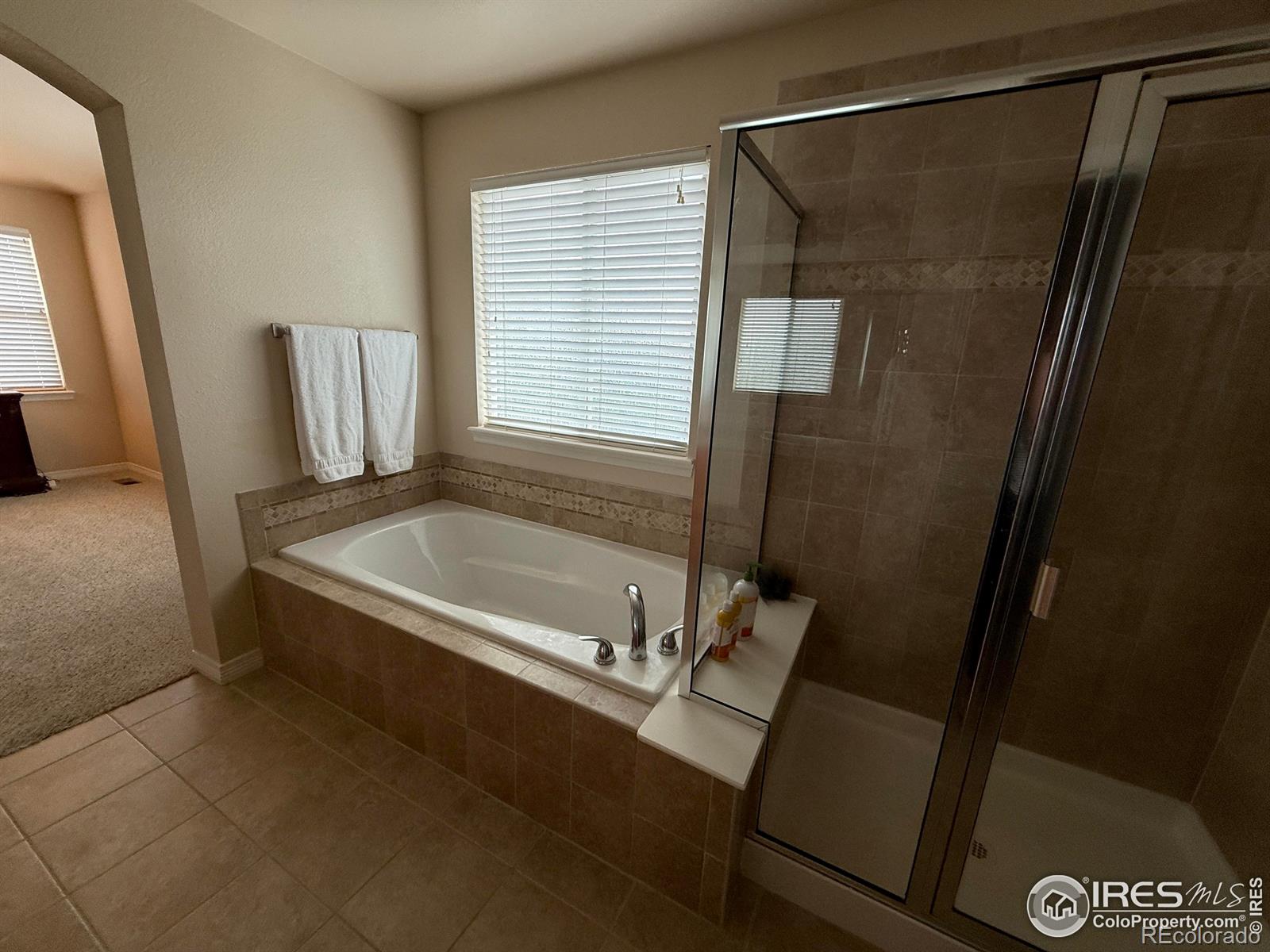 MLS Image #18 for 7407  pimlico drive,windsor, Colorado