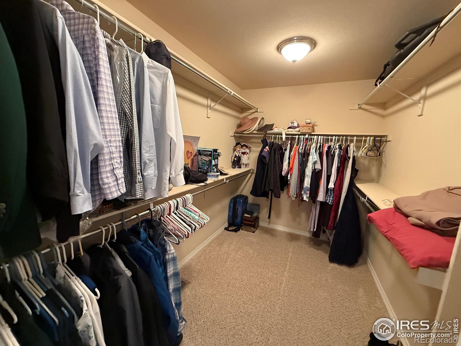 MLS Image #20 for 7407  pimlico drive,windsor, Colorado