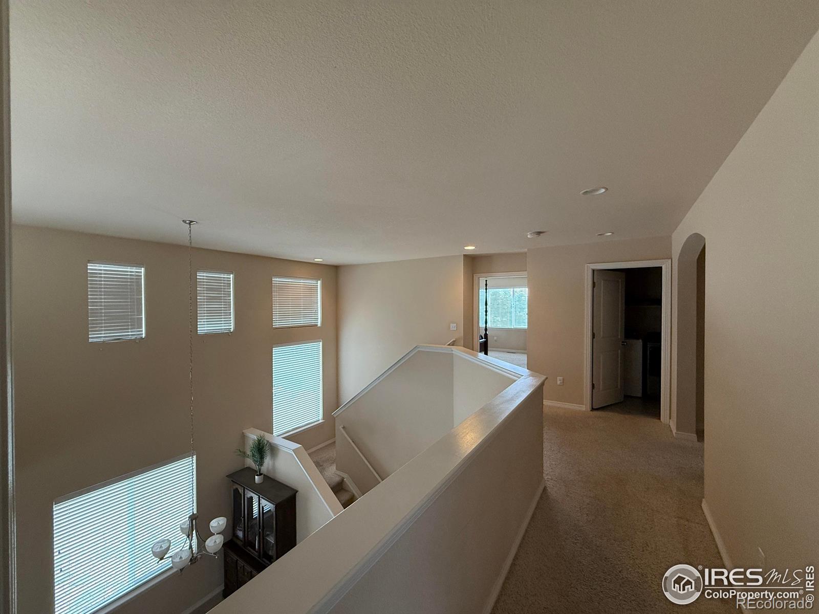MLS Image #26 for 7407  pimlico drive,windsor, Colorado