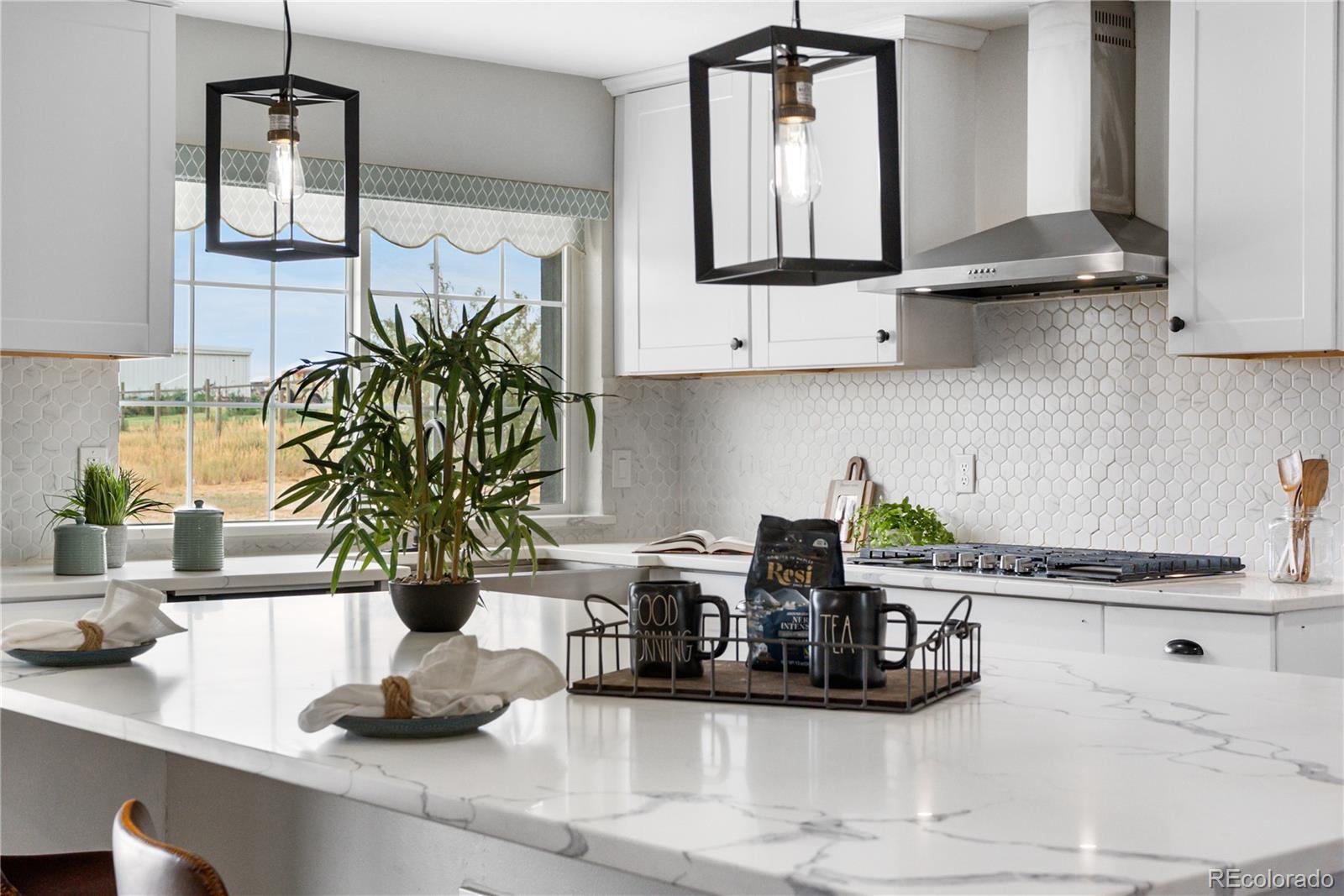 MLS Image #9 for 13938  downing street,brighton, Colorado