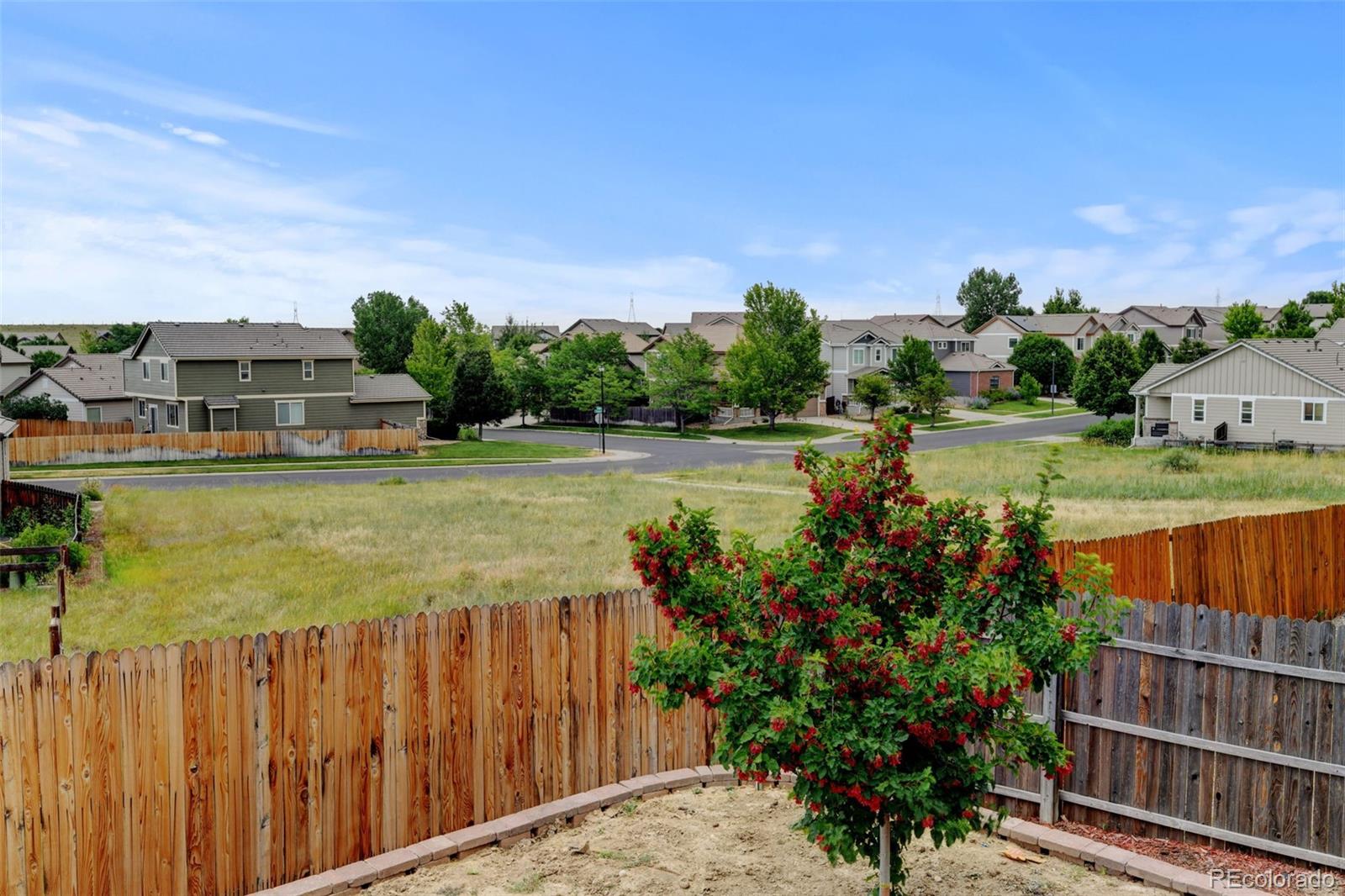 MLS Image #33 for 22149 e milan place,aurora, Colorado