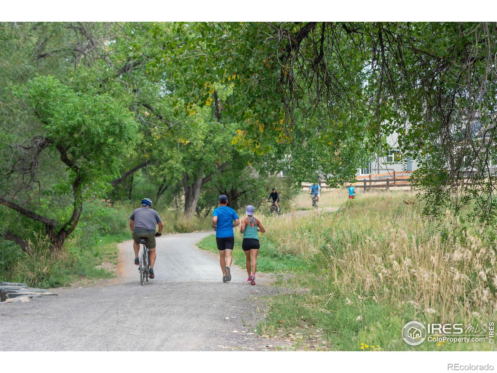 MLS Image #36 for 1941  pioneer circle,lafayette, Colorado
