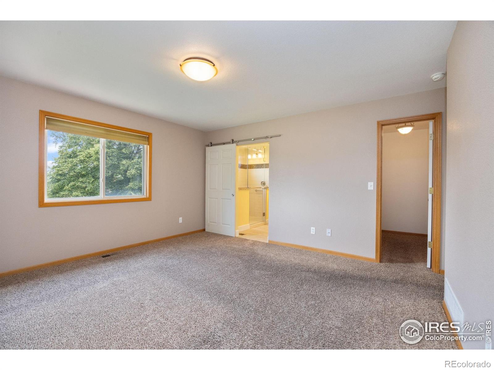MLS Image #16 for 1725  keyes court,loveland, Colorado