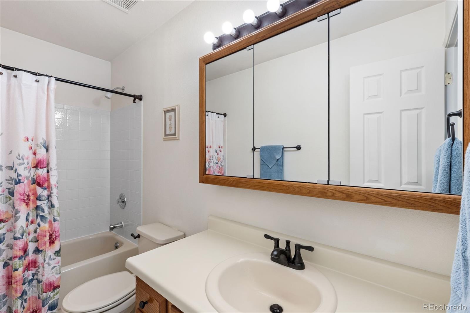 MLS Image #11 for 4325  earlyview court,colorado springs, Colorado