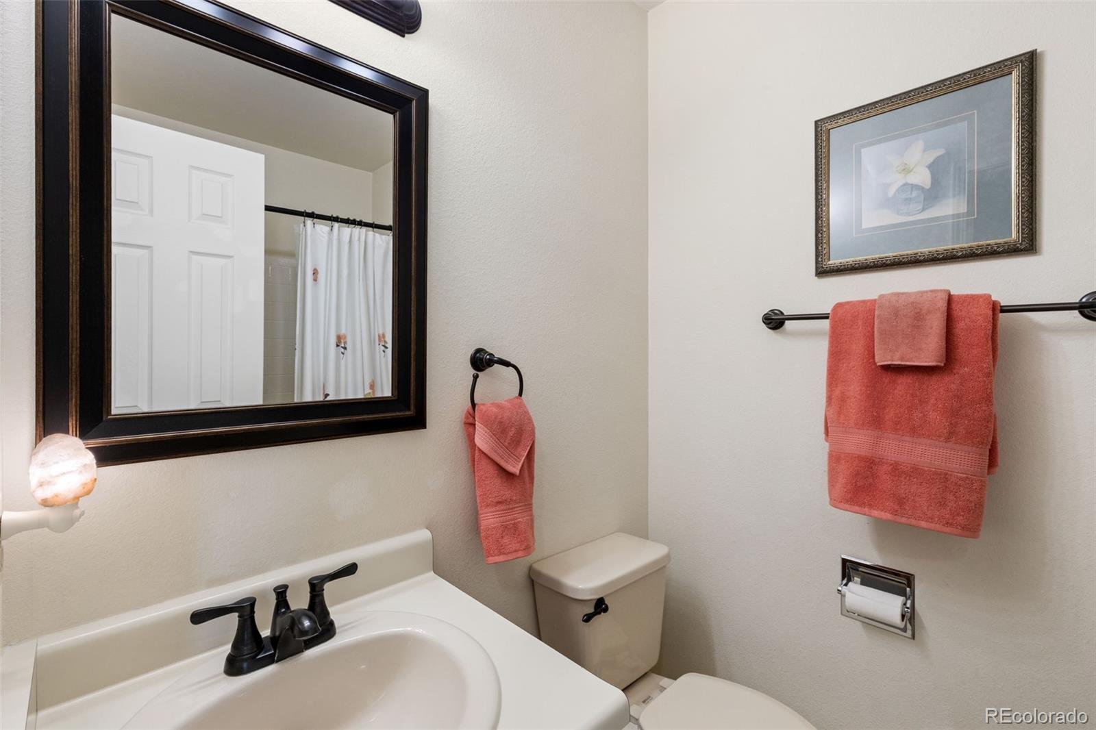 MLS Image #14 for 4325  earlyview court,colorado springs, Colorado