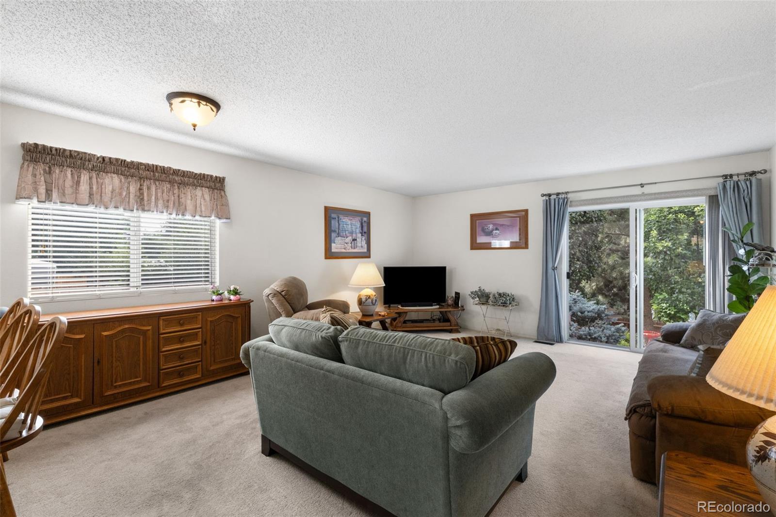 MLS Image #5 for 4325  earlyview court,colorado springs, Colorado