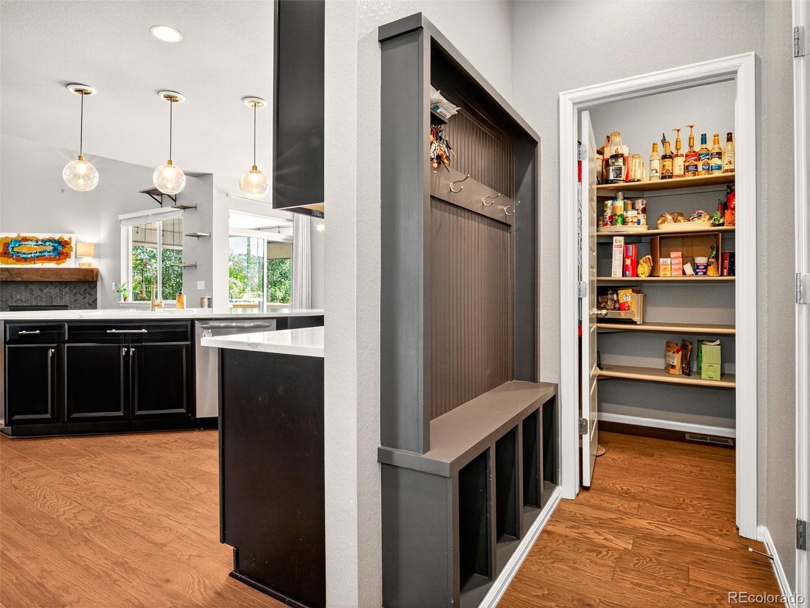 MLS Image #17 for 1536  mcmurdo trail,castle rock, Colorado
