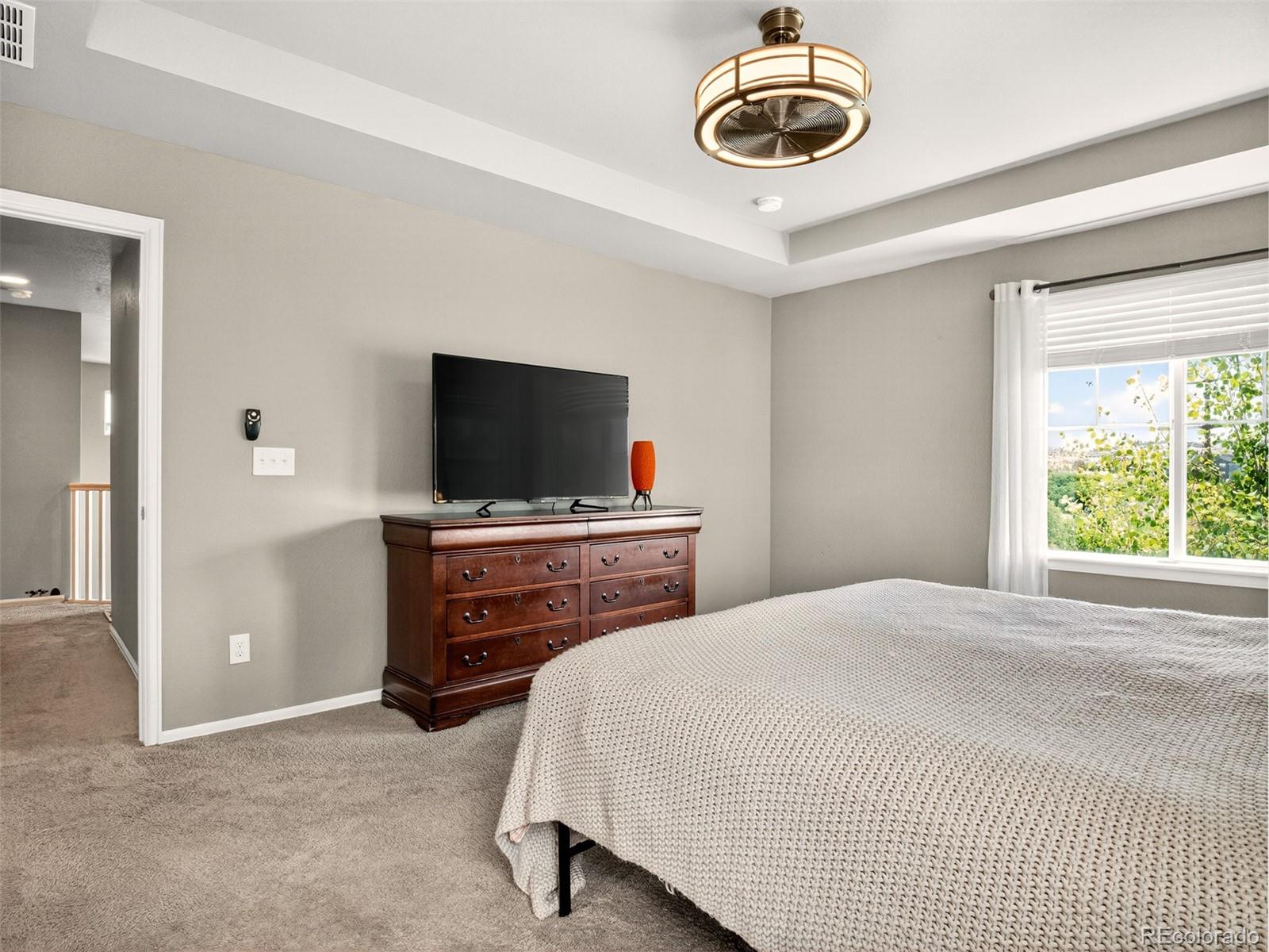 MLS Image #19 for 1536  mcmurdo trail,castle rock, Colorado