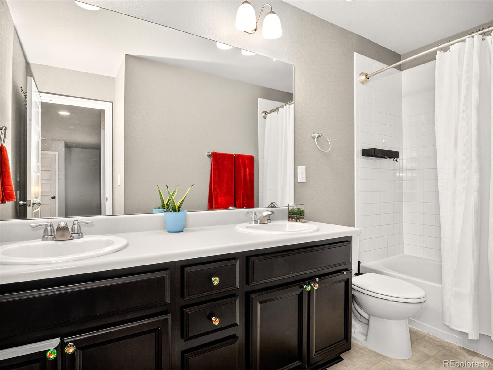 MLS Image #23 for 1536  mcmurdo trail,castle rock, Colorado