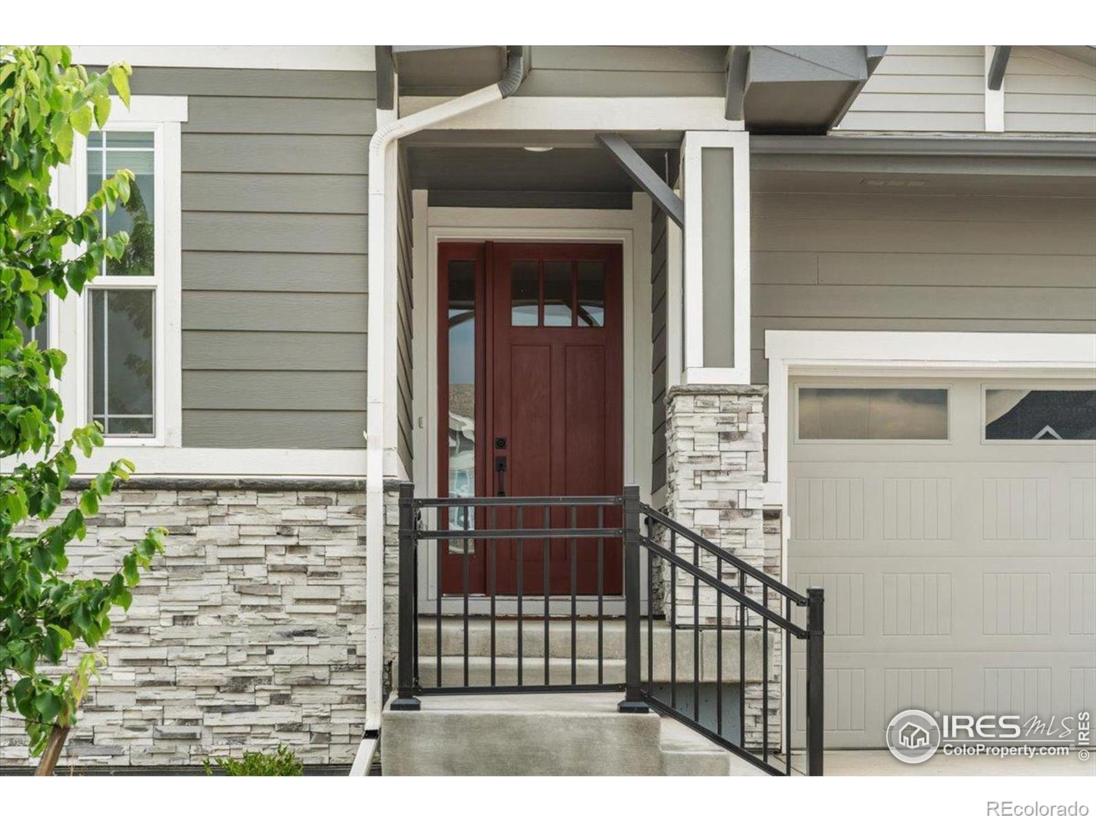 MLS Image #4 for 6333  icegrass avenue,loveland, Colorado