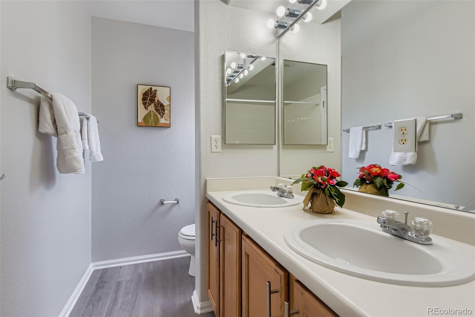 MLS Image #11 for 17359  waterhouse circle,parker, Colorado