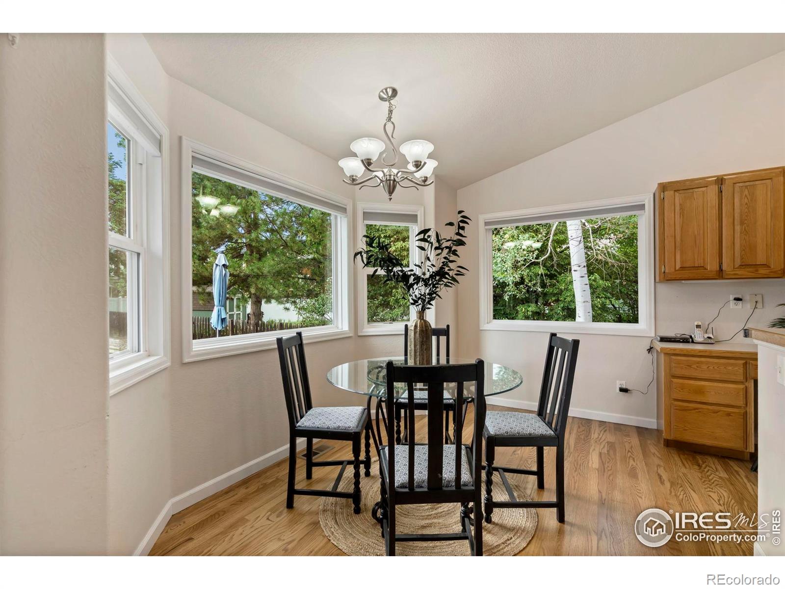 MLS Image #12 for 543  dana court,loveland, Colorado