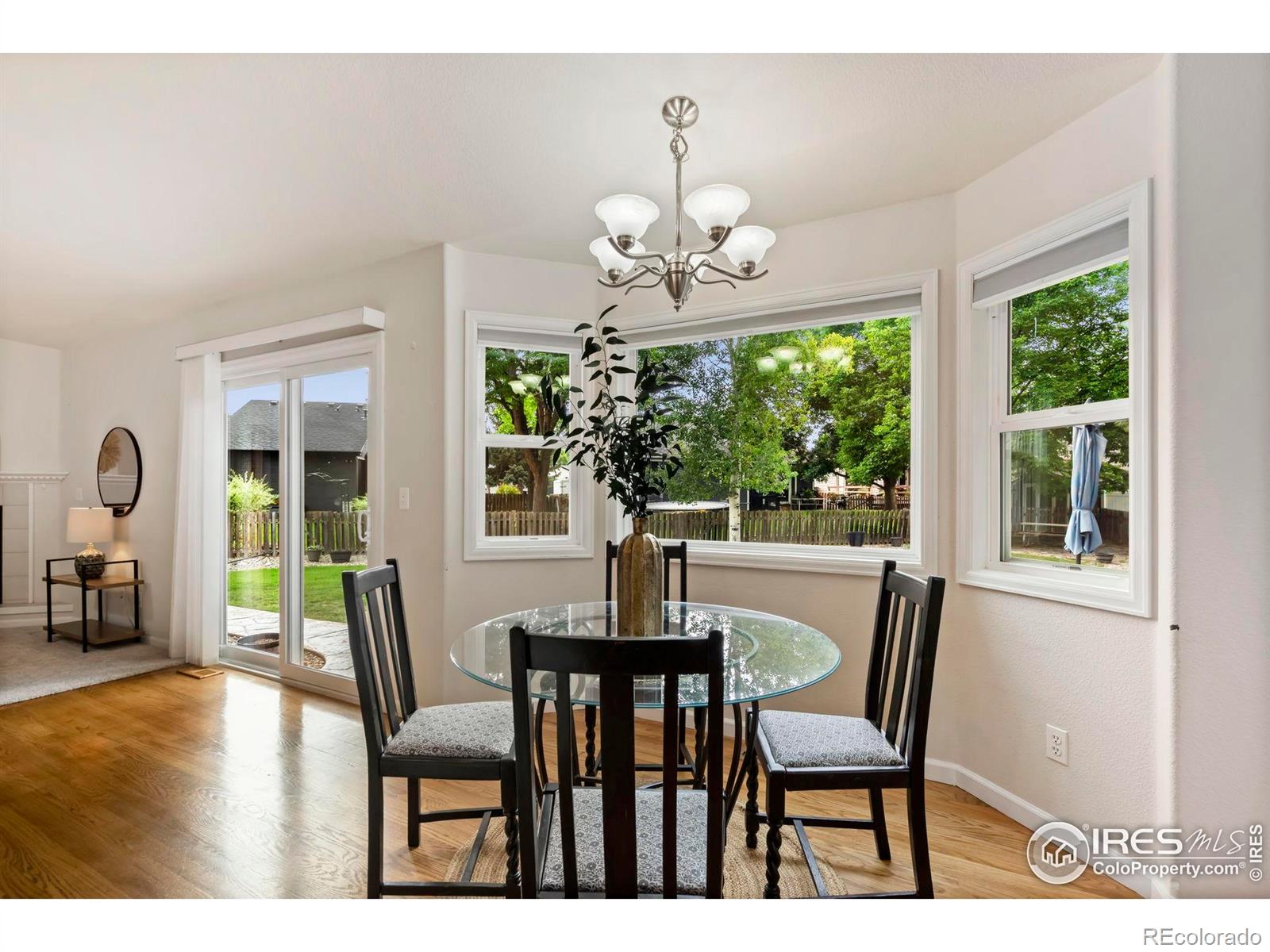 MLS Image #13 for 543  dana court,loveland, Colorado