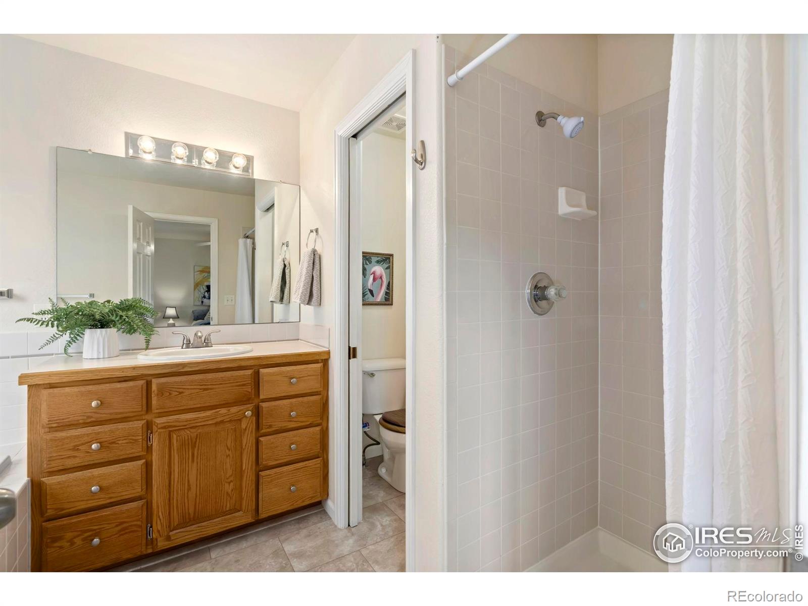 MLS Image #20 for 543  dana court,loveland, Colorado