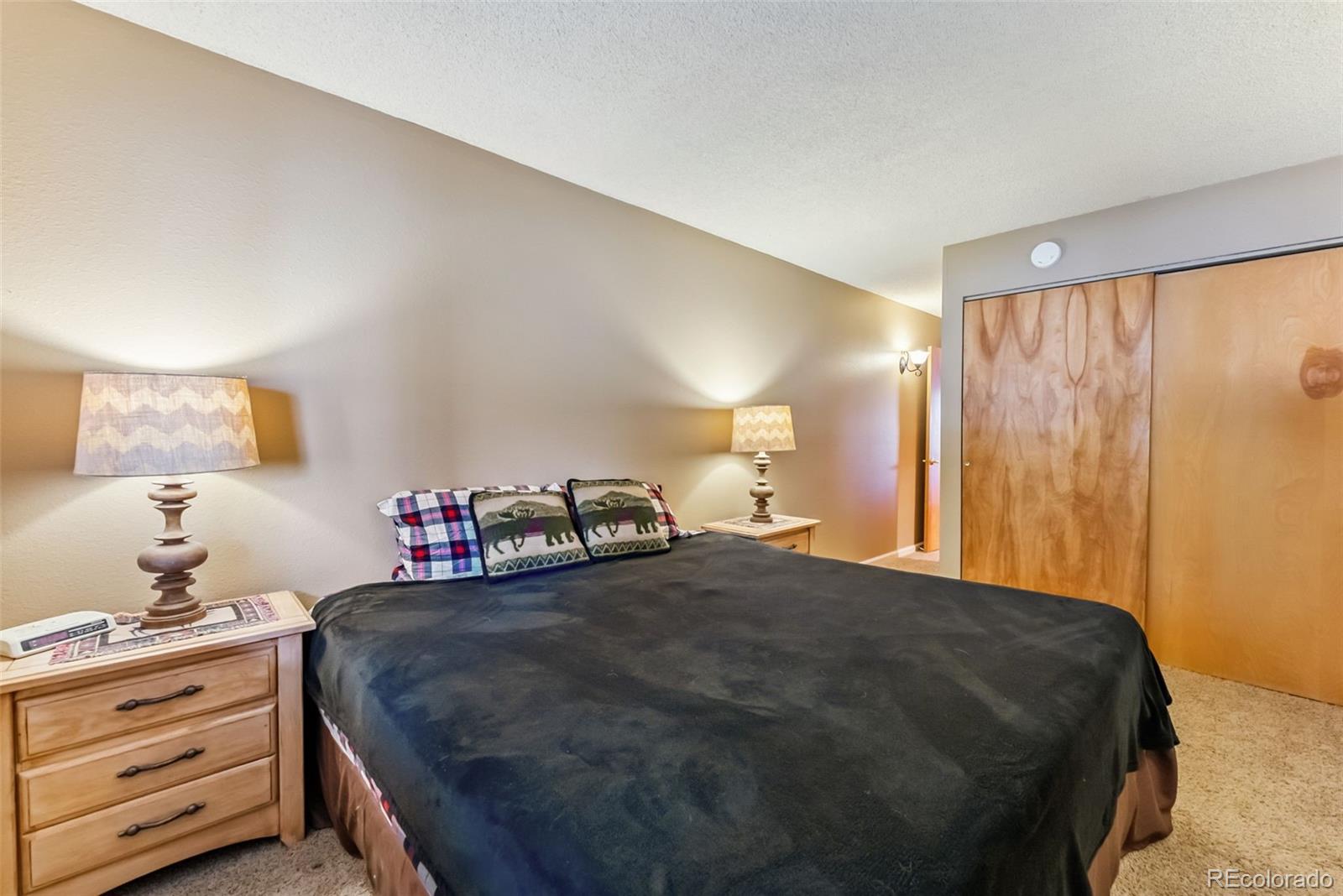 MLS Image #32 for 72  corinthian circle,dillon, Colorado