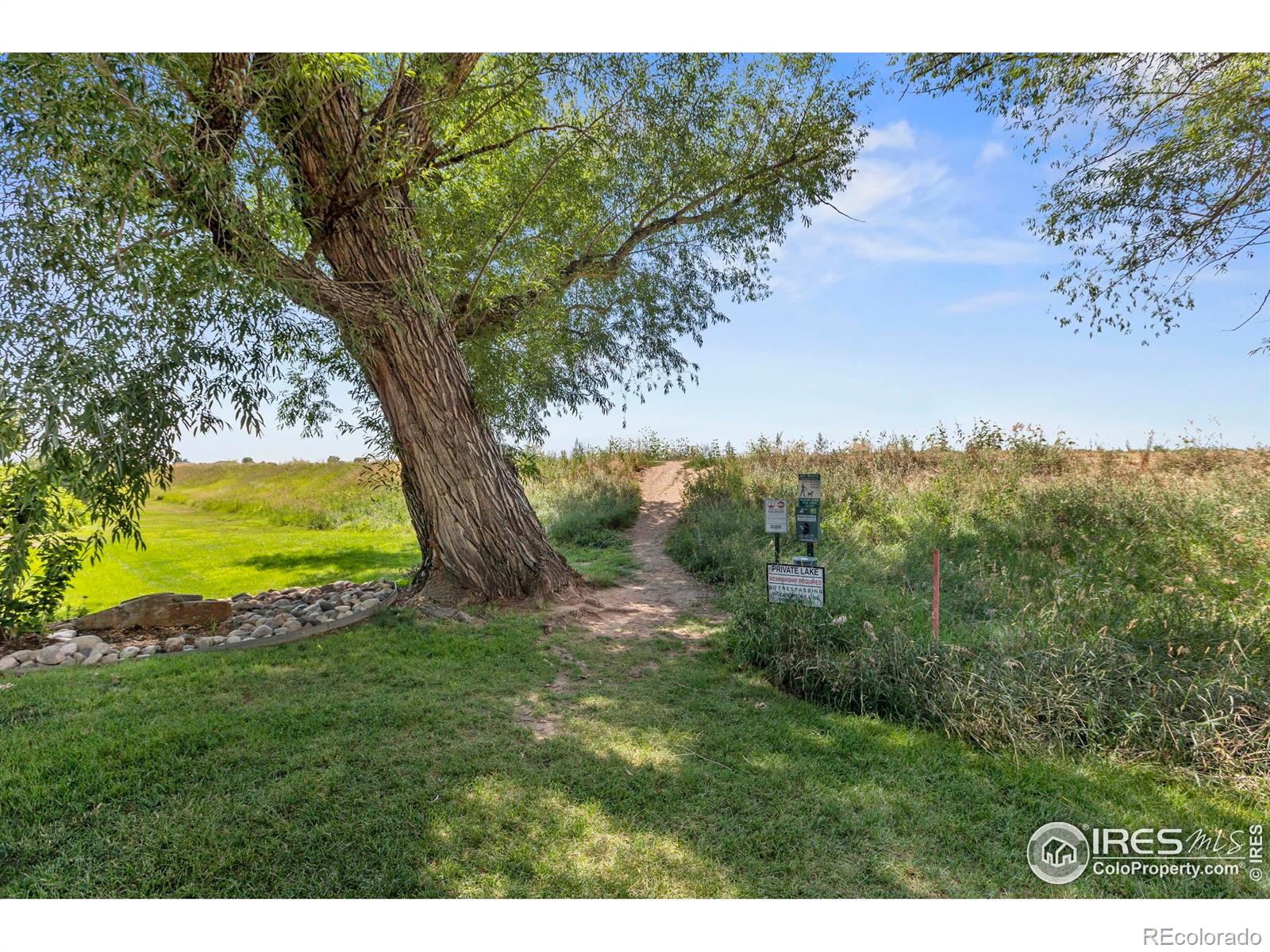 MLS Image #36 for 948  sailors reef ,fort collins, Colorado