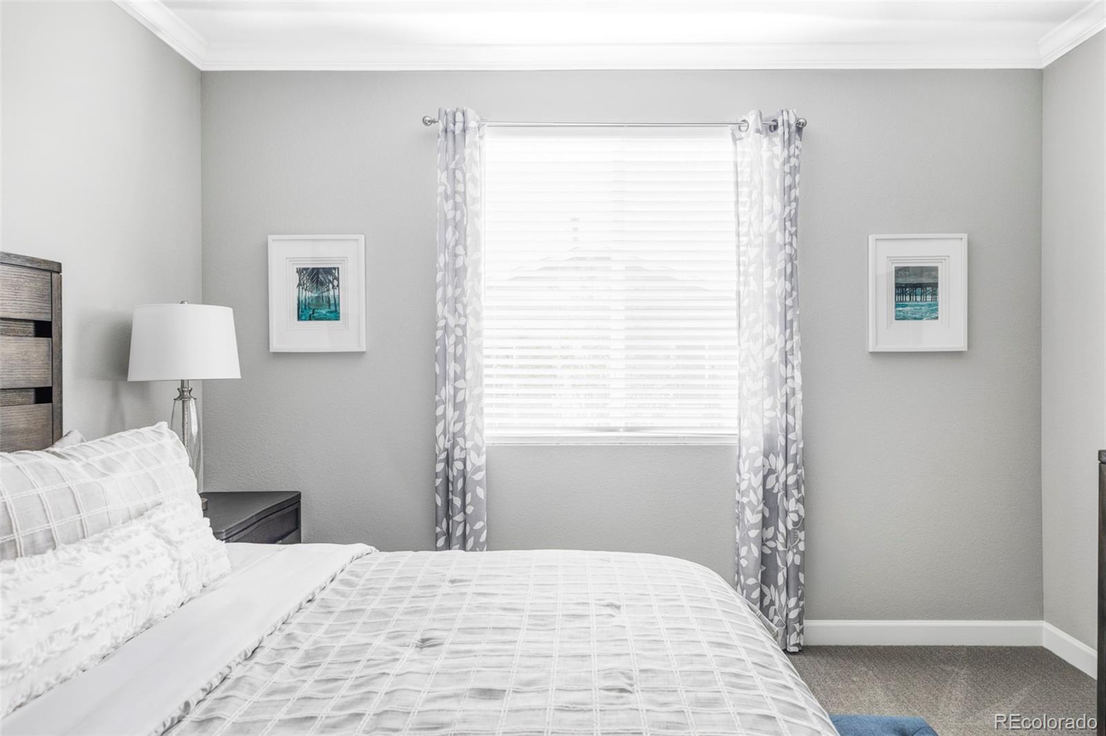 MLS Image #20 for 1576  maggie mae lane,castle rock, Colorado