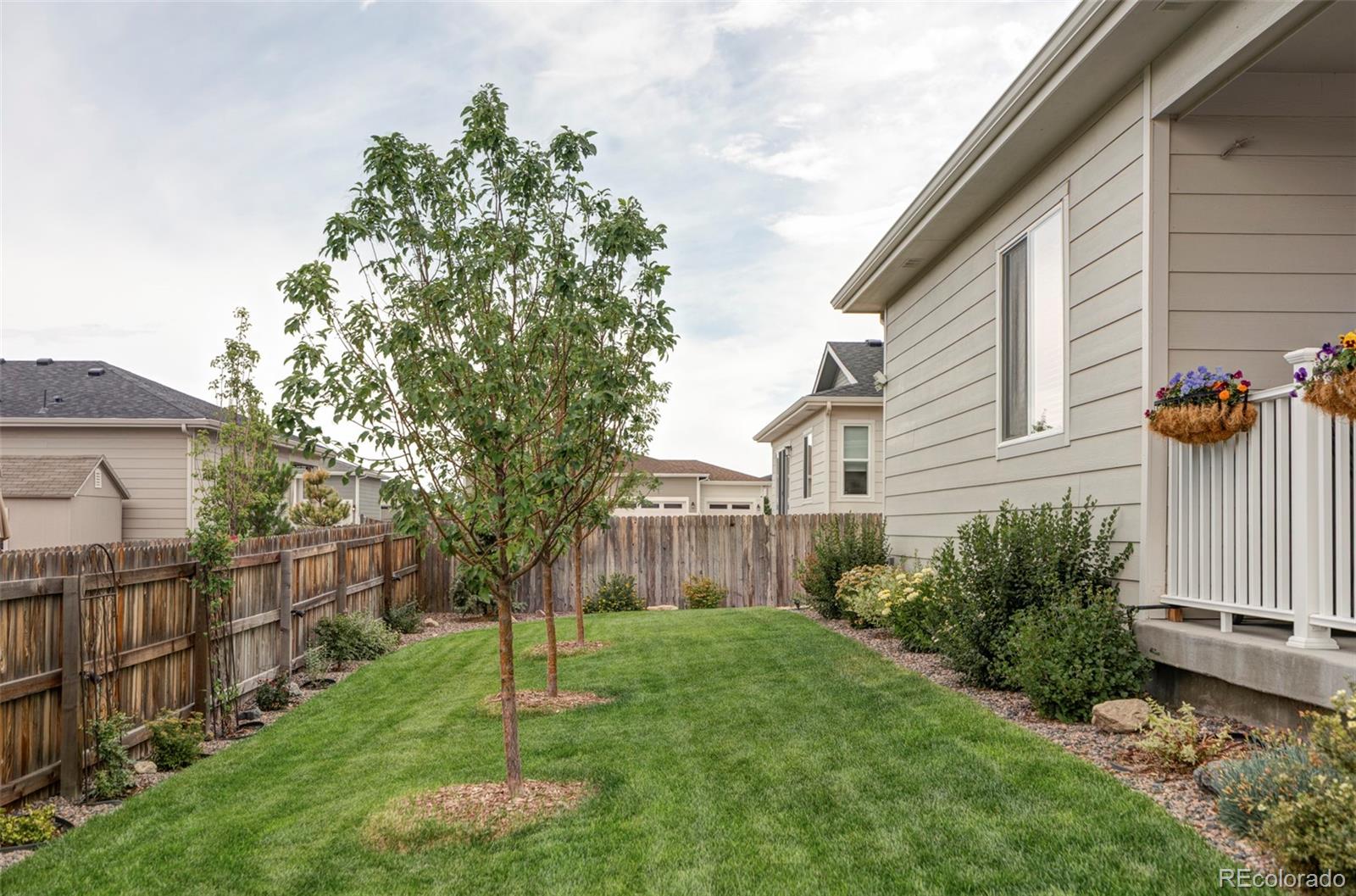MLS Image #38 for 1576  maggie mae lane,castle rock, Colorado