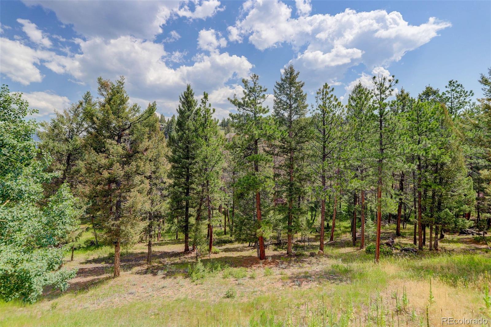 MLS Image #14 for 34203  ponca road,pine, Colorado