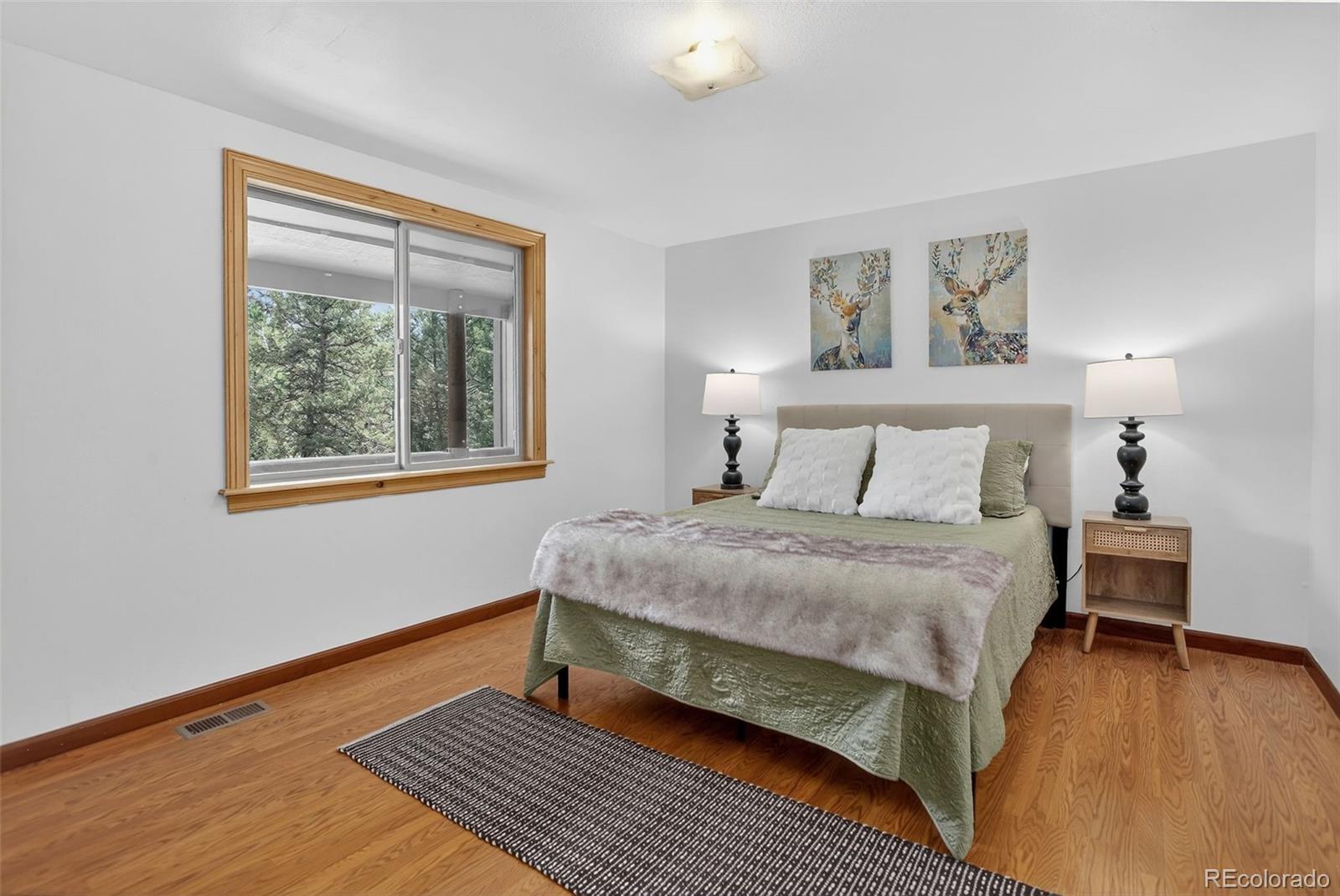 MLS Image #15 for 34203  ponca road,pine, Colorado