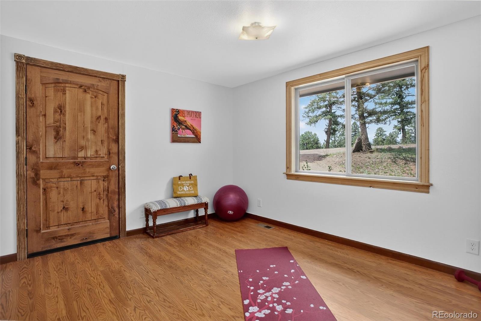 MLS Image #18 for 34203  ponca road,pine, Colorado