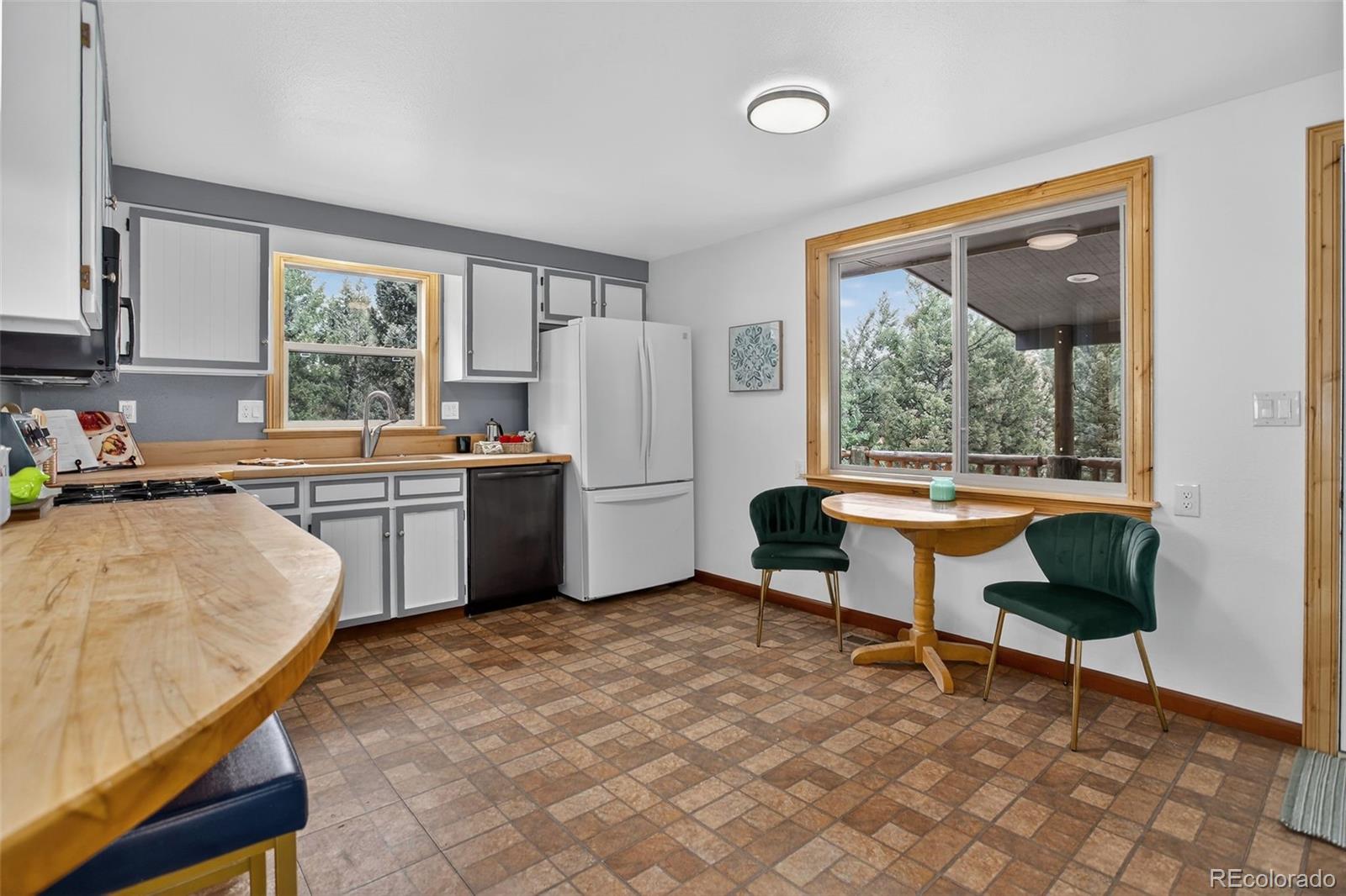 MLS Image #6 for 34203  ponca road,pine, Colorado