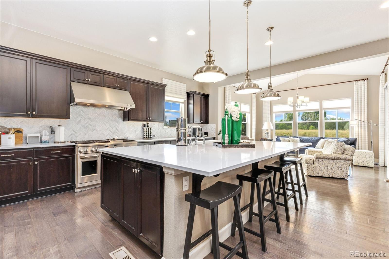 MLS Image #17 for 137  western sky circle,longmont, Colorado