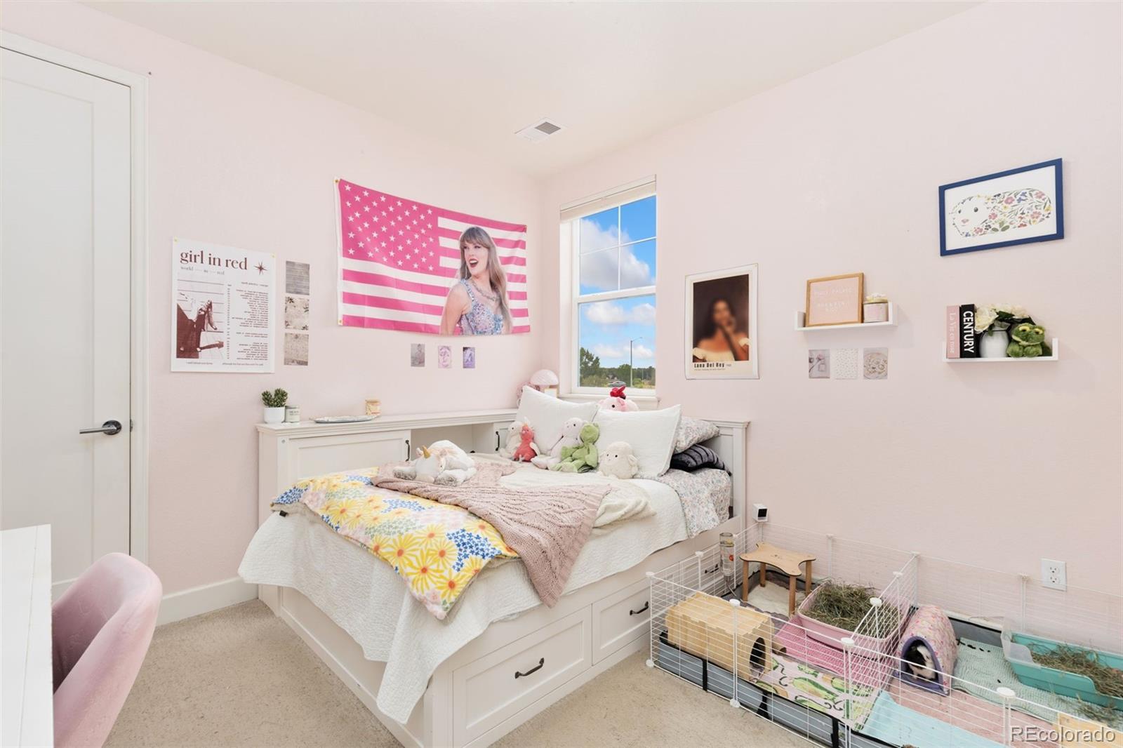 MLS Image #22 for 137  western sky circle,longmont, Colorado