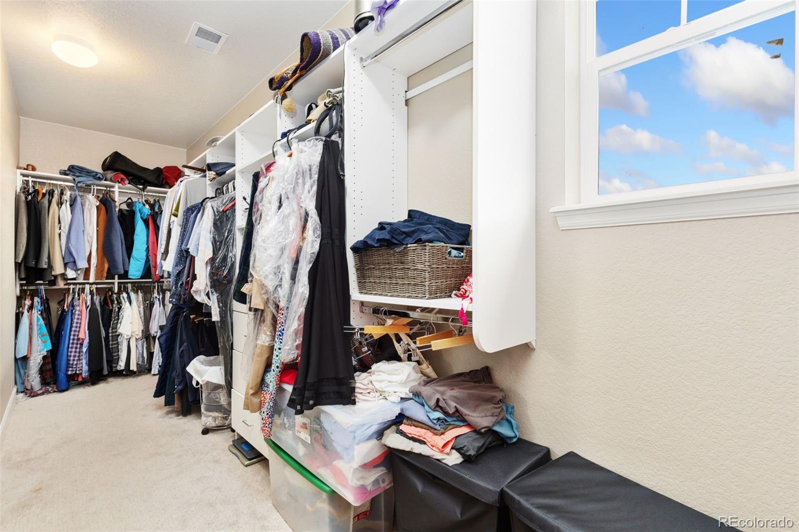 MLS Image #29 for 137  western sky circle,longmont, Colorado