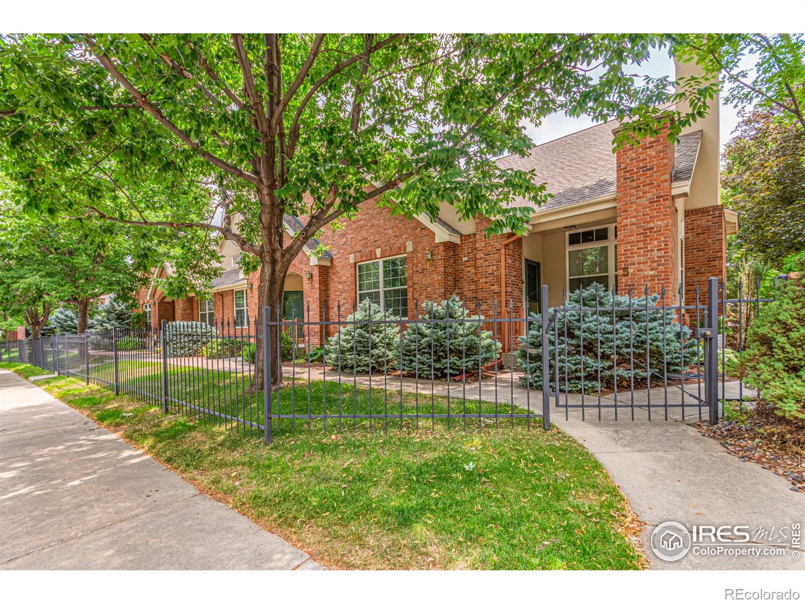 MLS Image #2 for 1333  charles drive,longmont, Colorado