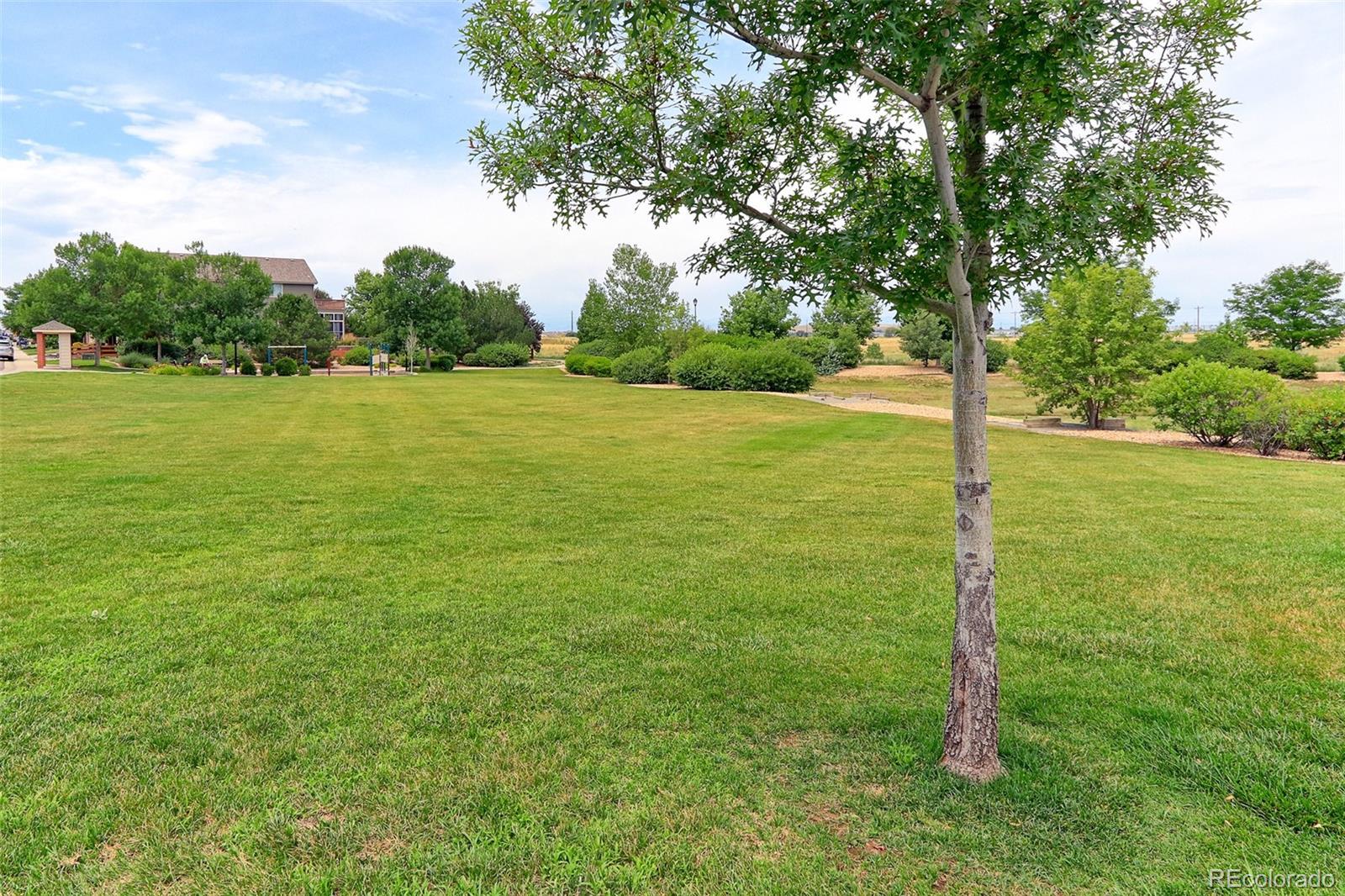 MLS Image #42 for 16745  williams street,thornton, Colorado