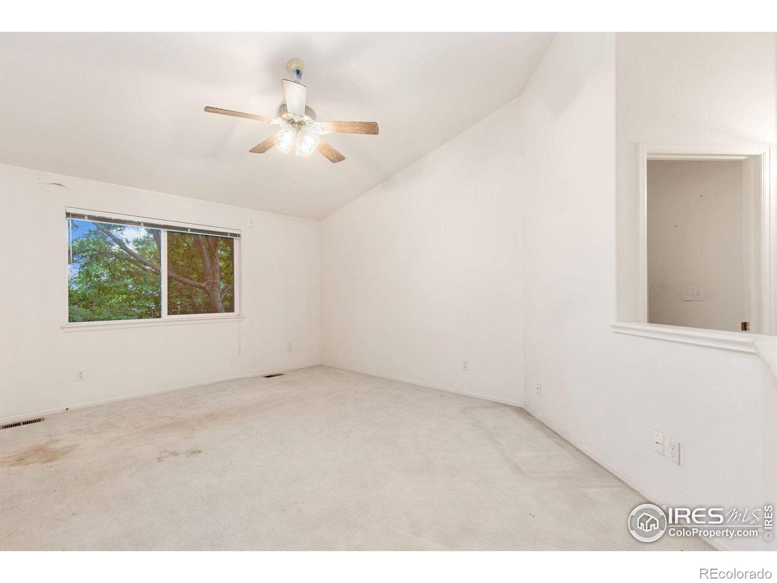 MLS Image #10 for 1326  cedarwood drive,longmont, Colorado