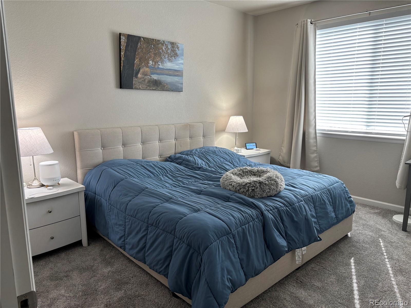 MLS Image #2 for 8942  red bud street,parker, Colorado