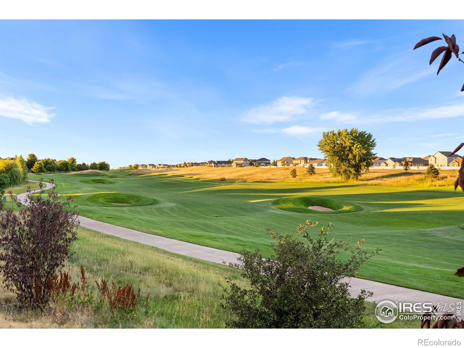 MLS Image #33 for 4268  ardglass lane,timnath, Colorado