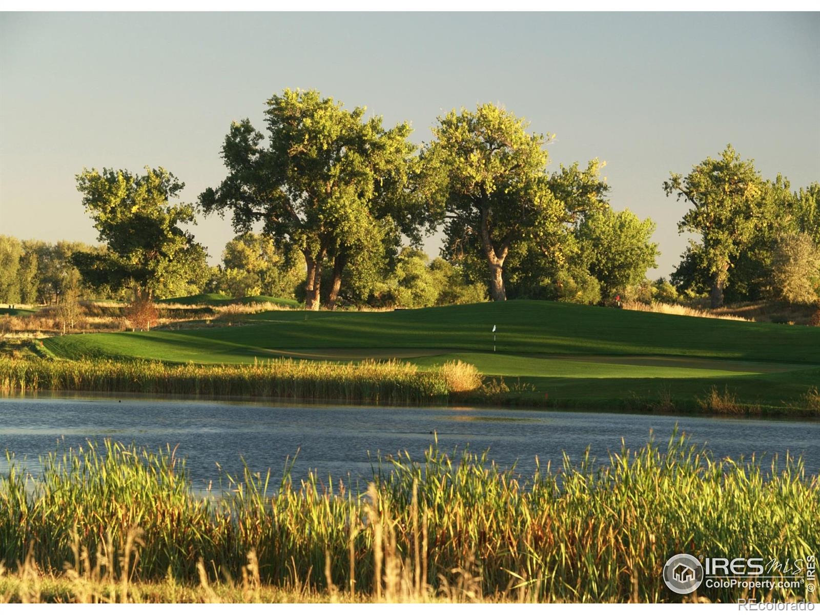 MLS Image #35 for 4268  ardglass lane,timnath, Colorado