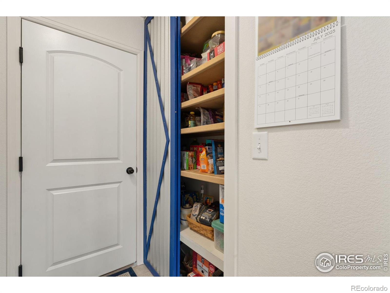 MLS Image #12 for 1008  muntjac street,severance, Colorado