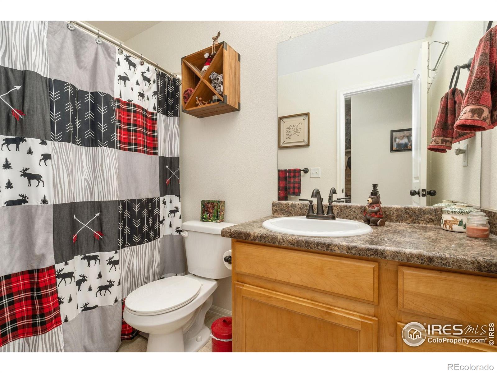 MLS Image #21 for 1008  muntjac street,severance, Colorado