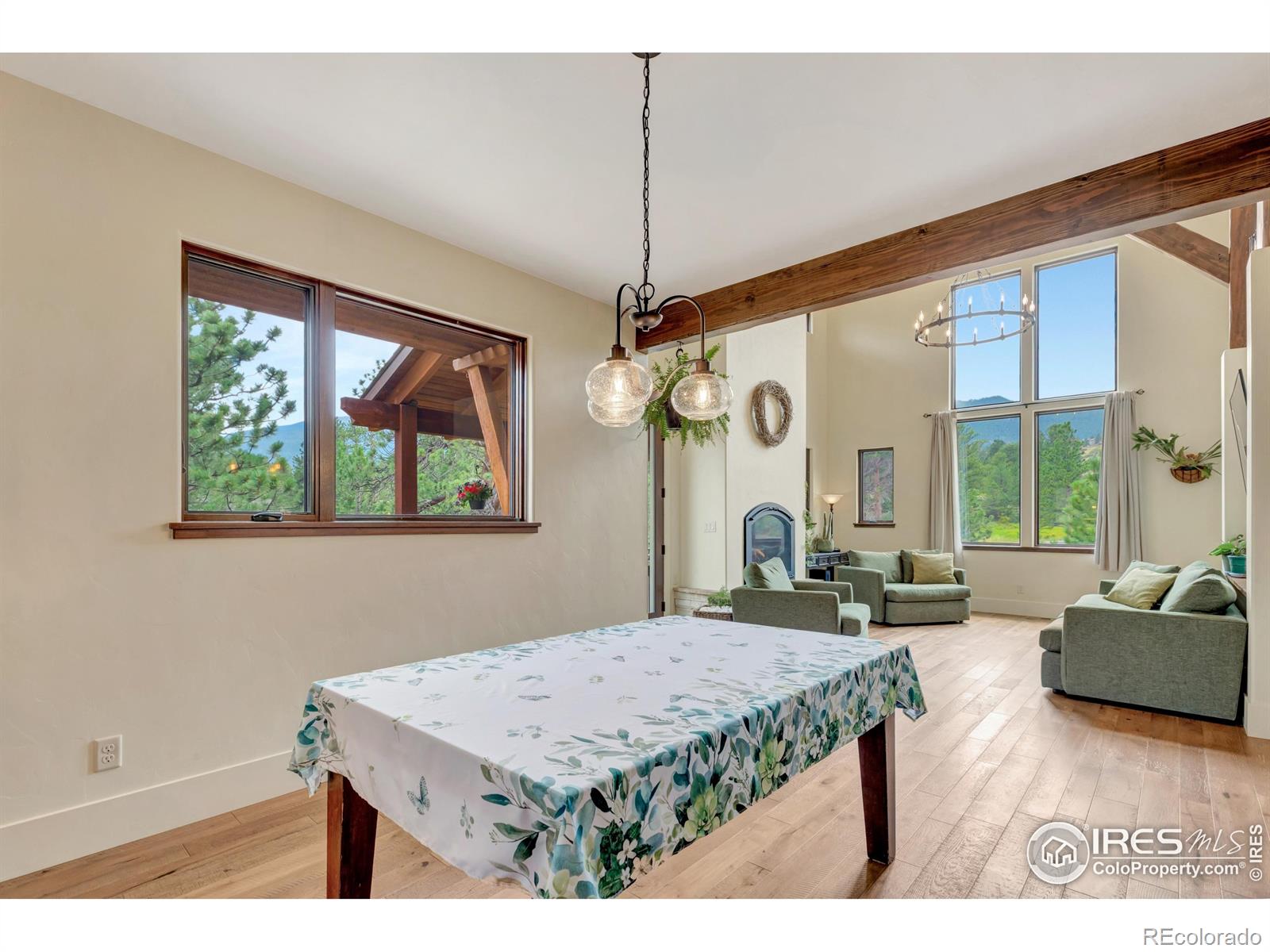 MLS Image #20 for 410  pawnee lane,estes park, Colorado
