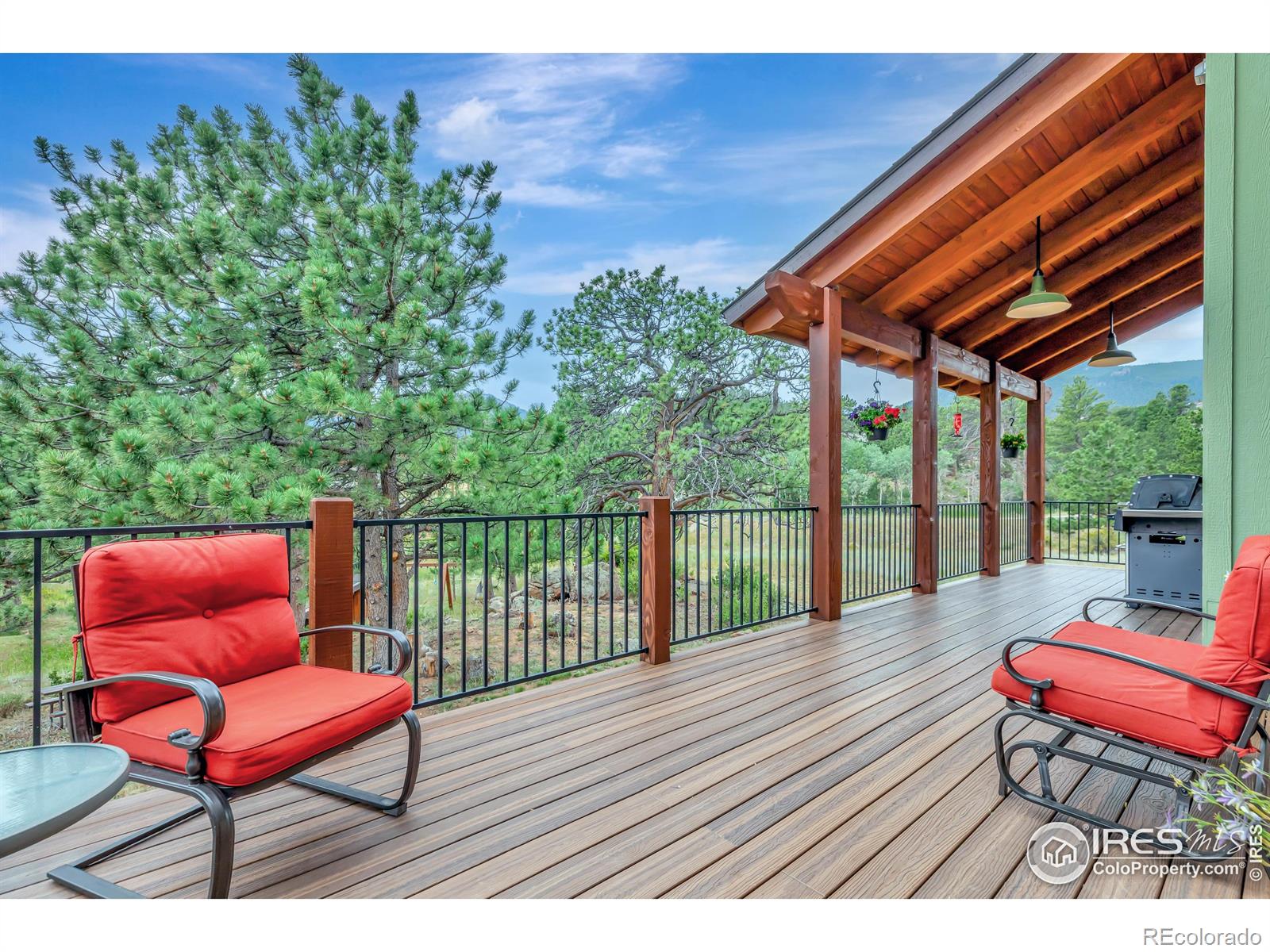 MLS Image #5 for 410  pawnee lane,estes park, Colorado