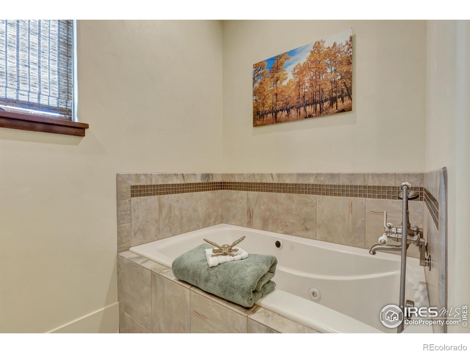 MLS Image #9 for 410  pawnee lane,estes park, Colorado