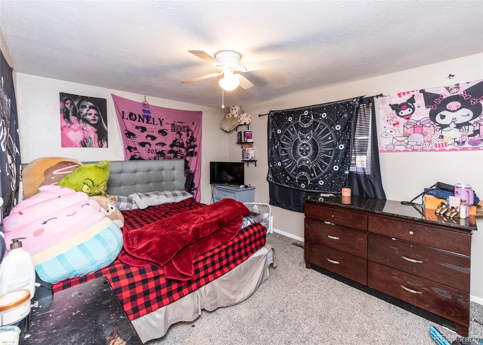 MLS Image #26 for 440  calle entrada ,fountain, Colorado