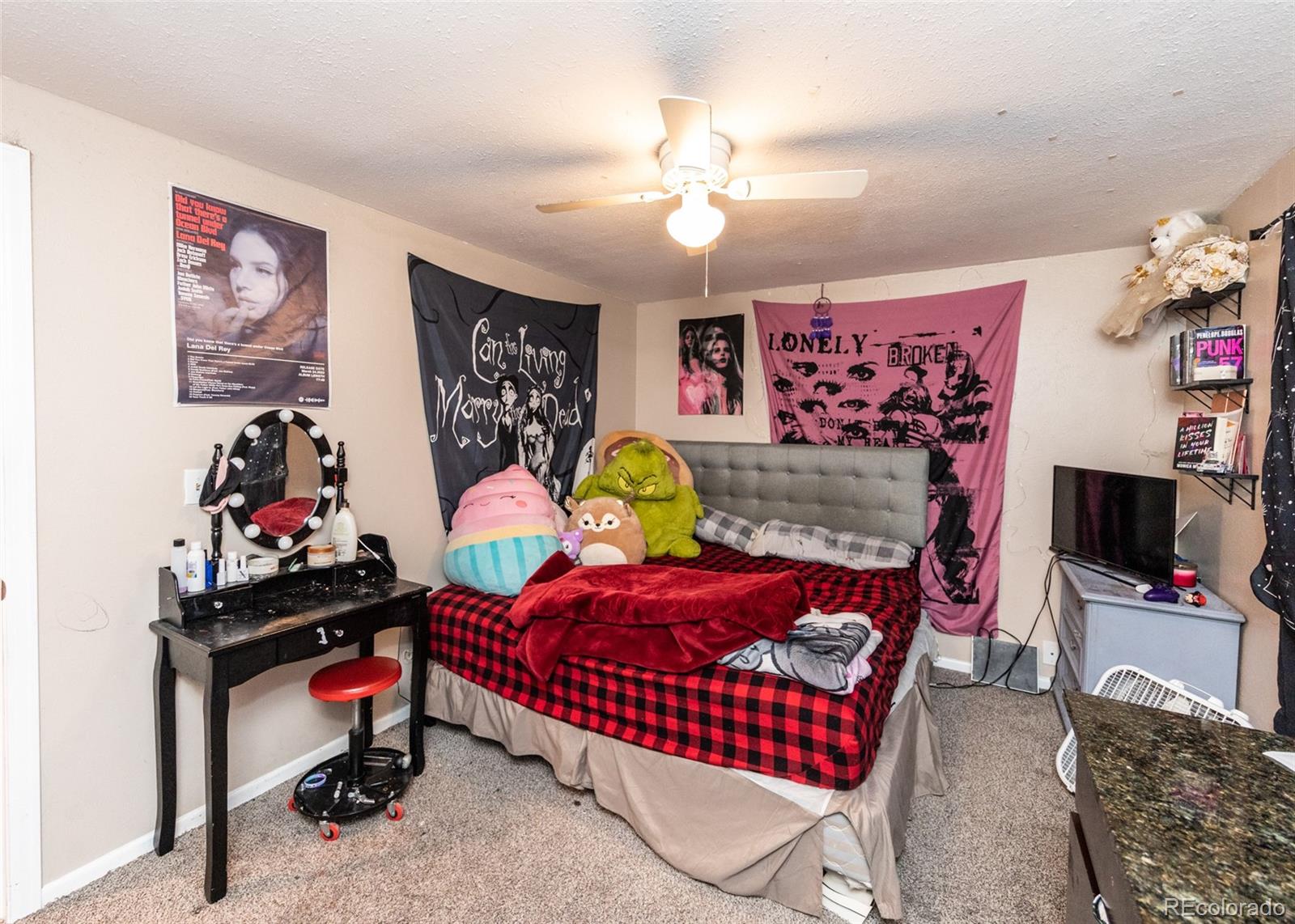 MLS Image #27 for 440  calle entrada ,fountain, Colorado