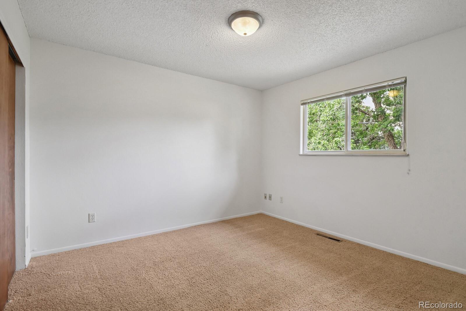MLS Image #18 for 4966  artistic place,colorado springs, Colorado
