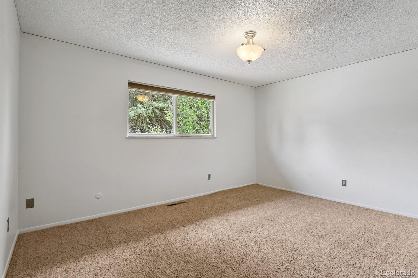 MLS Image #21 for 4966  artistic place,colorado springs, Colorado