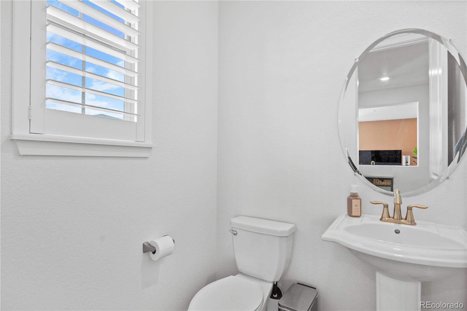 MLS Image #15 for 8353  bijou creek avenue,littleton, Colorado