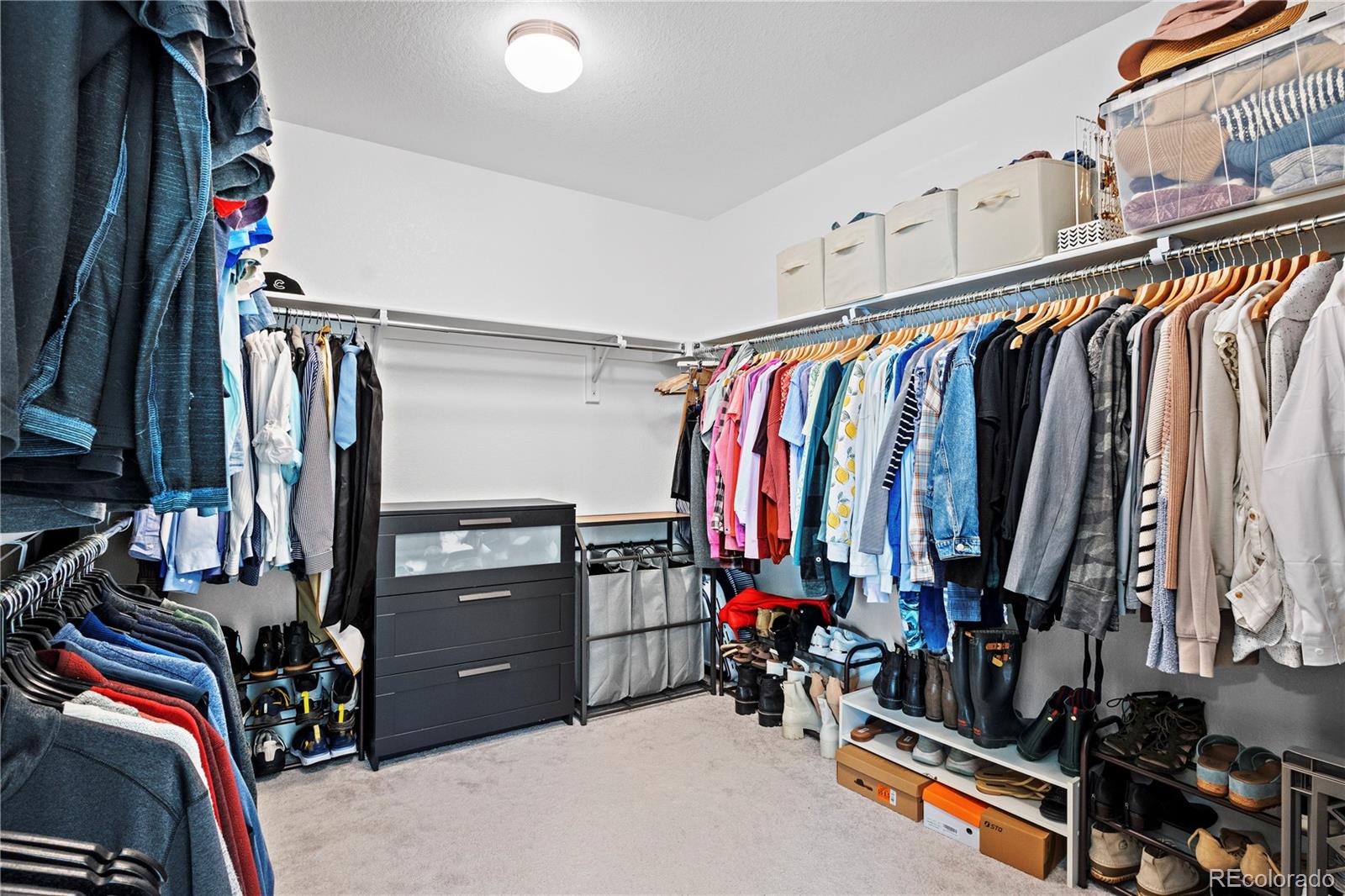 MLS Image #19 for 8353  bijou creek avenue,littleton, Colorado