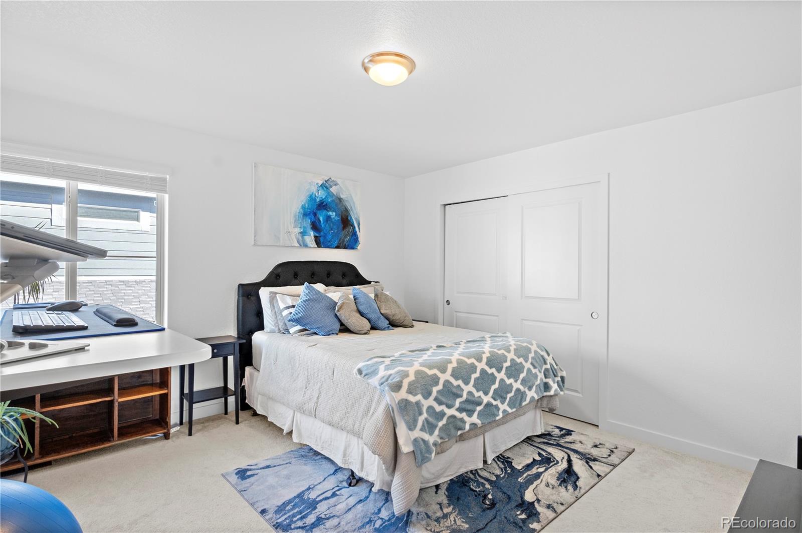 MLS Image #22 for 8353  bijou creek avenue,littleton, Colorado