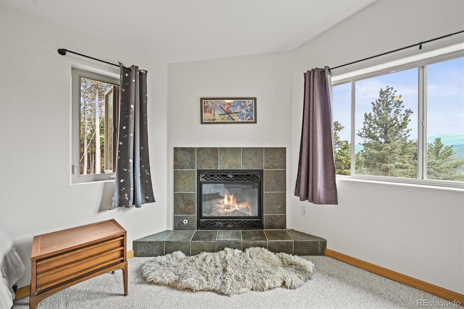 MLS Image #22 for 546  haul road,nederland, Colorado